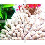 Multi-functional Microfiber Chenille Shoes For Floor Cleaning thumbnail-3