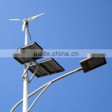 Made in China Solar Wind Hybrid Street Light with CE approval