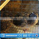 Anping Supplier Wire Mesh Layer Quail Cage Farming Price,cage for Quail