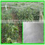 Henan Suntex Supply Hail Guard Mesh/anti Hail Structure Netting/UV Treated Anti Hail Net thumbnail-5
