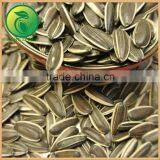2015 Agriculture Products Sunflower Seeds thumbnail-2