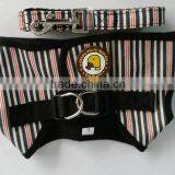 Jean Style Pet Dog Collar and Vest thumbnail-3