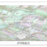 Abalone (Paua) White Selection Shell Paper