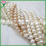 Hot Sale Fashion Decorative Zhejiang Beads Strand Freshwater Pearl Necklace in Bulk thumbnail-5