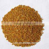 Sorghum Price Can be Very Competitive thumbnail-1