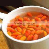 Wolfberry Extract thumbnail-1