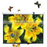 Size From 72" to 150" Manual Wall Projector Screen