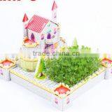 DIY Castle Plant Toys for Kids Adults thumbnail-2