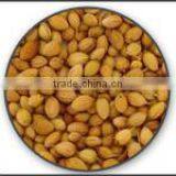 Coriander Seeds thumbnail-1