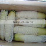 Fresh Chinese White Radish on Sale thumbnail-4