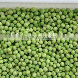 Frozen Peas Green Peas thumbnail-6