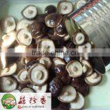 Own Factory /export Canned Shitake Mushroom in Jar From China