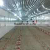 Cheap Price High Quality Turnkey Poultry Farm in Africa thumbnail-3