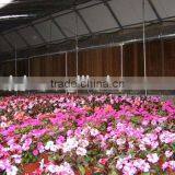 Cooling Pad Wall for Garden House thumbnail-1