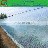 Factory selling Polyethylene Anti-aging Greenhouse Film for vegetables plantation