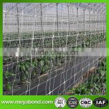 plant climbing crop hanging net for agriculture