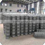 High Quality Galvanized Field Fence for Sale / Sheep Fence / Galvanized Fiedl Fence for Sale