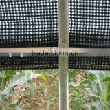 PE High Quality Plastic Agricultural Mulch Film/waterproof and Sunscreen to Absorb the Suitable Sunshine thumbnail-1