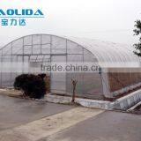 Plastic Film Covered Economic Tunnel Greenhouse For Agricultural Planting thumbnail-3