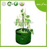 2016 PE Mini Patio Planter Plastic Grow Bags thumbnail-1