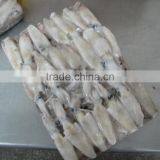 Grade A BQF Baby Squid Loligo Japonica thumbnail-6