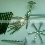 Bright Polished Common Nail Use in Wood Nail thumbnail-1