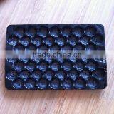 China Professional FDA&SGS Approval Disposalbe Soft PP Fruit Transporting Tray thumbnail-6