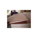Bintangor Plywood thumbnail-2
