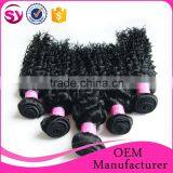 Cheap Virgin Malaysian Curly Hair Human Hair, Malaysian Kinky Curly Hair Weave, Malaysian Afro Kinky Curl Sew in Hair Weave thumbnail-1