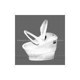 Intelligent Toilet Mould thumbnail-1