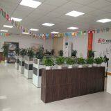 Dongguan Zhitong Packing Material Co.,Ltd company overview - view 1 thumbnail