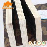 Combi Core Marine Film Faced Shuttering Plywood for Construction thumbnail-5