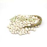 Large White Kidney Beans thumbnail-4
