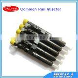DELPHI New Common Rail Injector for JMC Transit 2.8L R03301D 1112100TAR thumbnail-1
