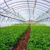 Greenhouse Film Fastening Hot Selling Greenhouse Film Fastening With Great Price thumbnail-1