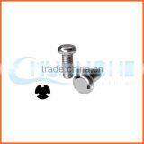 China Supplier Anti-theft Screw Galvanized