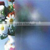 Patterned Glass(mistlite)