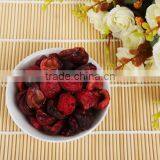 Freeze Dried Cherry Slices thumbnail-1