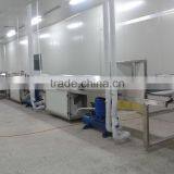 Double Color Jelly Candy Depositing Line