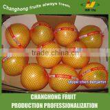 Fresh Fruit Pomelo/big Pomelo /grape Fruit thumbnail-1