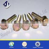 Flange Bolt Ts16949 Certified