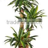 140 cm Artificial Dracaena Fragrans Massangeana Colour #2