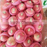 Top Quality thumbnail-1