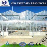 Multi-span Agricultural Glass Greenhouse thumbnail-2
