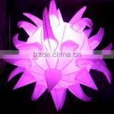 Beautiful Led Lights/inflatable Led Light