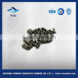 Cusomized Various of Carbide Pin Gauge Made in China
