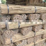 bamboo pole ,tonkin bamboo