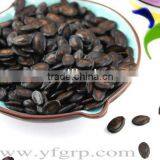 best dry Black seedless Watermelon Seed for sale