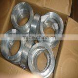 Hot Sell 304/316L Stainless Steel Wire Mesh ( in Stock)