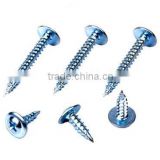 Modify Truss Head Self Tapping Roofing Screws Series